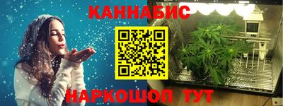 прущие крисы Гай