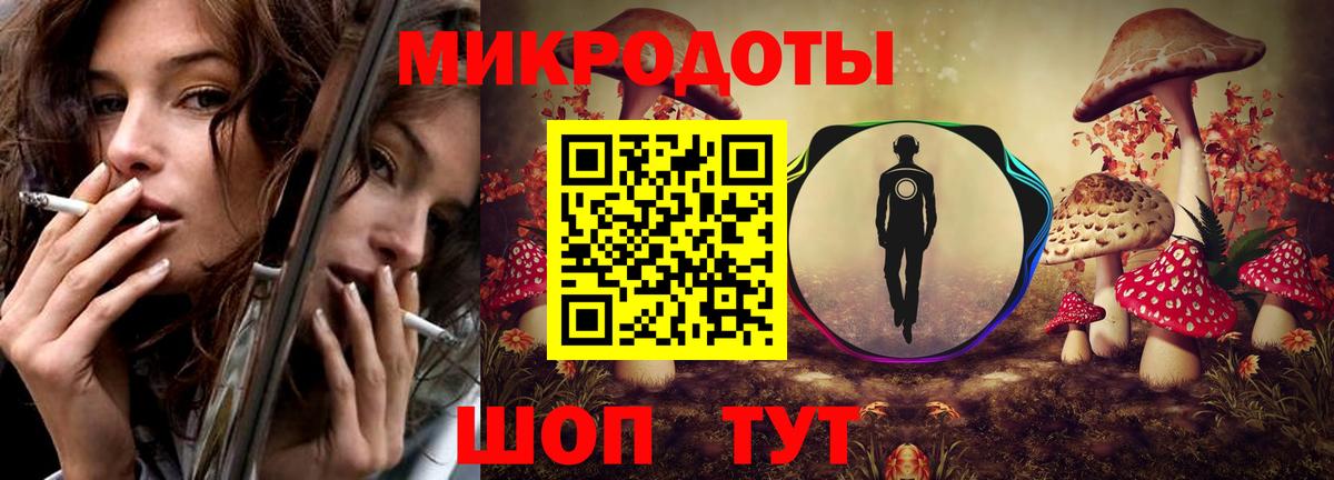 Галлюциногенные грибы Psilocybe Сальск